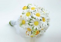 /album/hoa-c%c6%b0%e1%bb%9bi-c%e1%ba%a7m-tay/a1-8-jpg3/